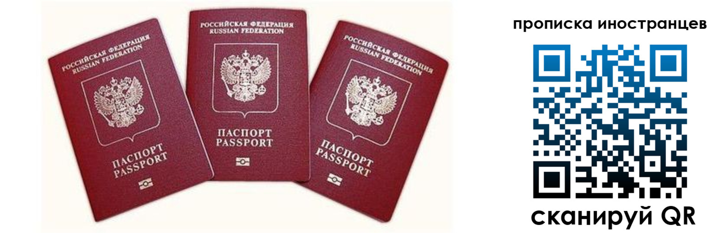 прописка в Советске